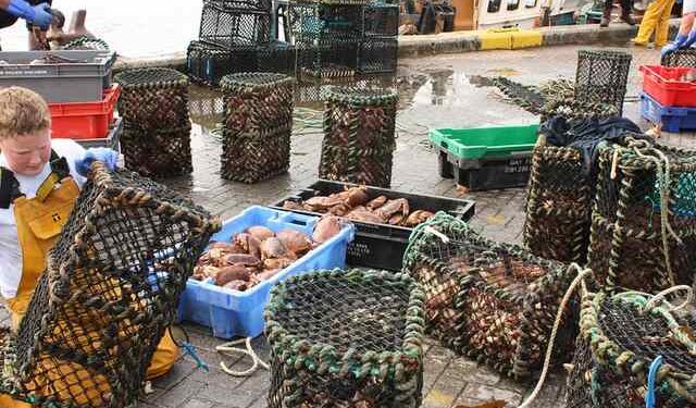 Szkoccy rybacy jadą na Londyn: „Mamy tego dość! To zabije gospodarkę”